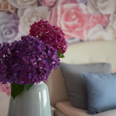 Apartment Rose Sasbachwalden Kültér fotó