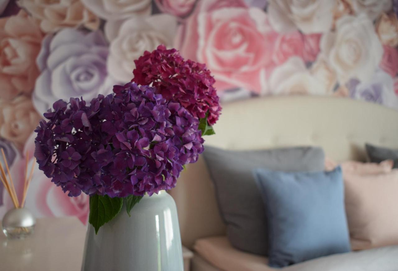 Apartment Rose Sasbachwalden Kültér fotó