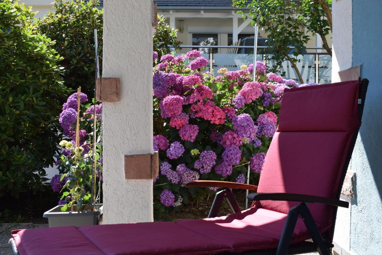 Apartment Rose Sasbachwalden Kültér fotó