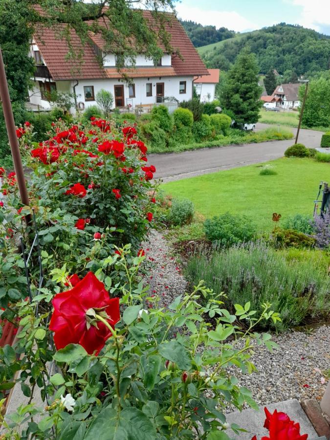 Apartment Rose Sasbachwalden Kültér fotó